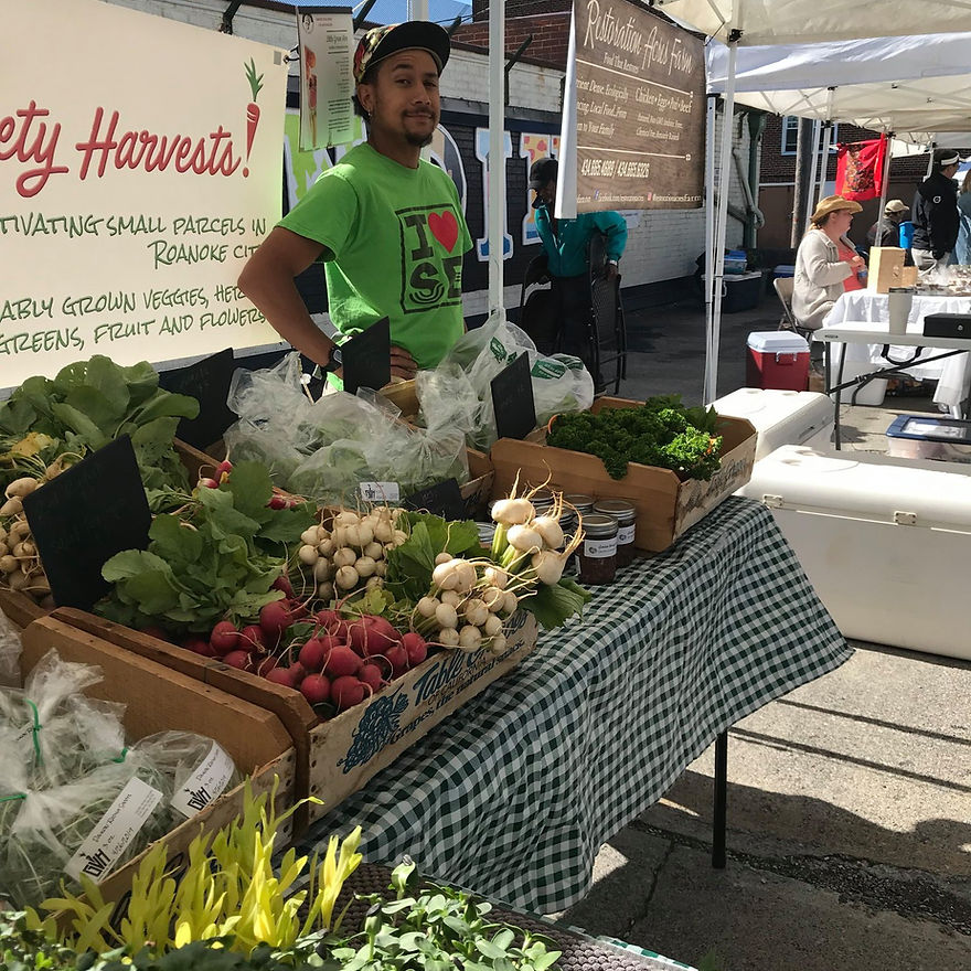 Garden Variety Harvests