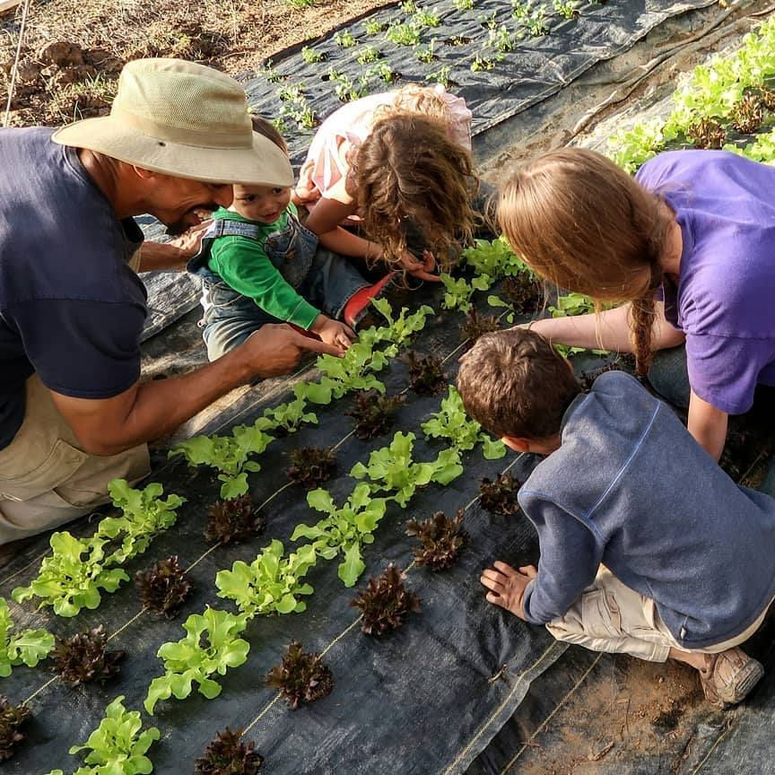 Farmer Spotlight – Treadlite Broadforks