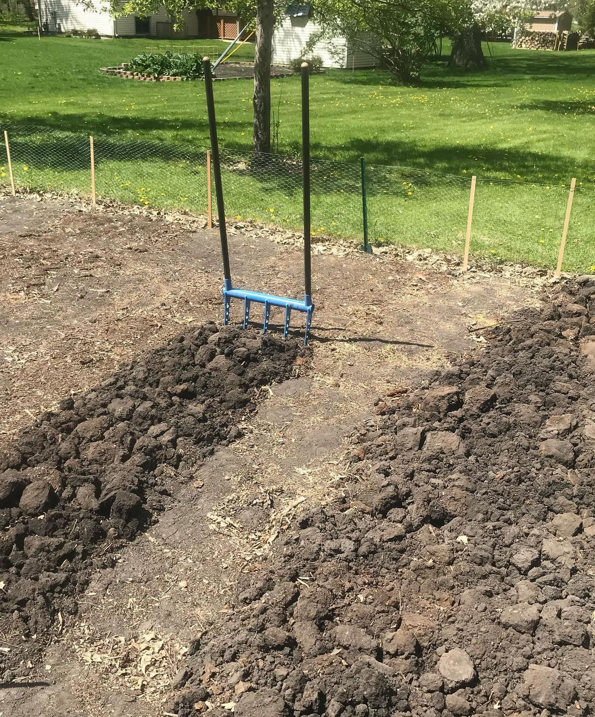 The all Steel Cultivator Treadlite Broadfork cultivating the soil to prep for planting at Bear Country Blooms Farm