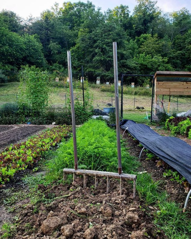 The all steel 7 tine Market Gardener Broadfork with a natural coating finish cultivates 30 inch beds in a single pass