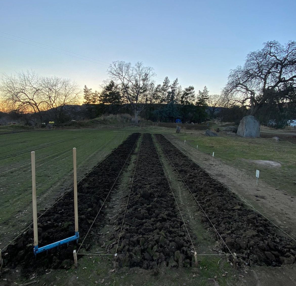 The 5 tine Cultivator Treadlite Broadfork with ash wood handles is lightweight and high strength for prepping large farm and garden beds