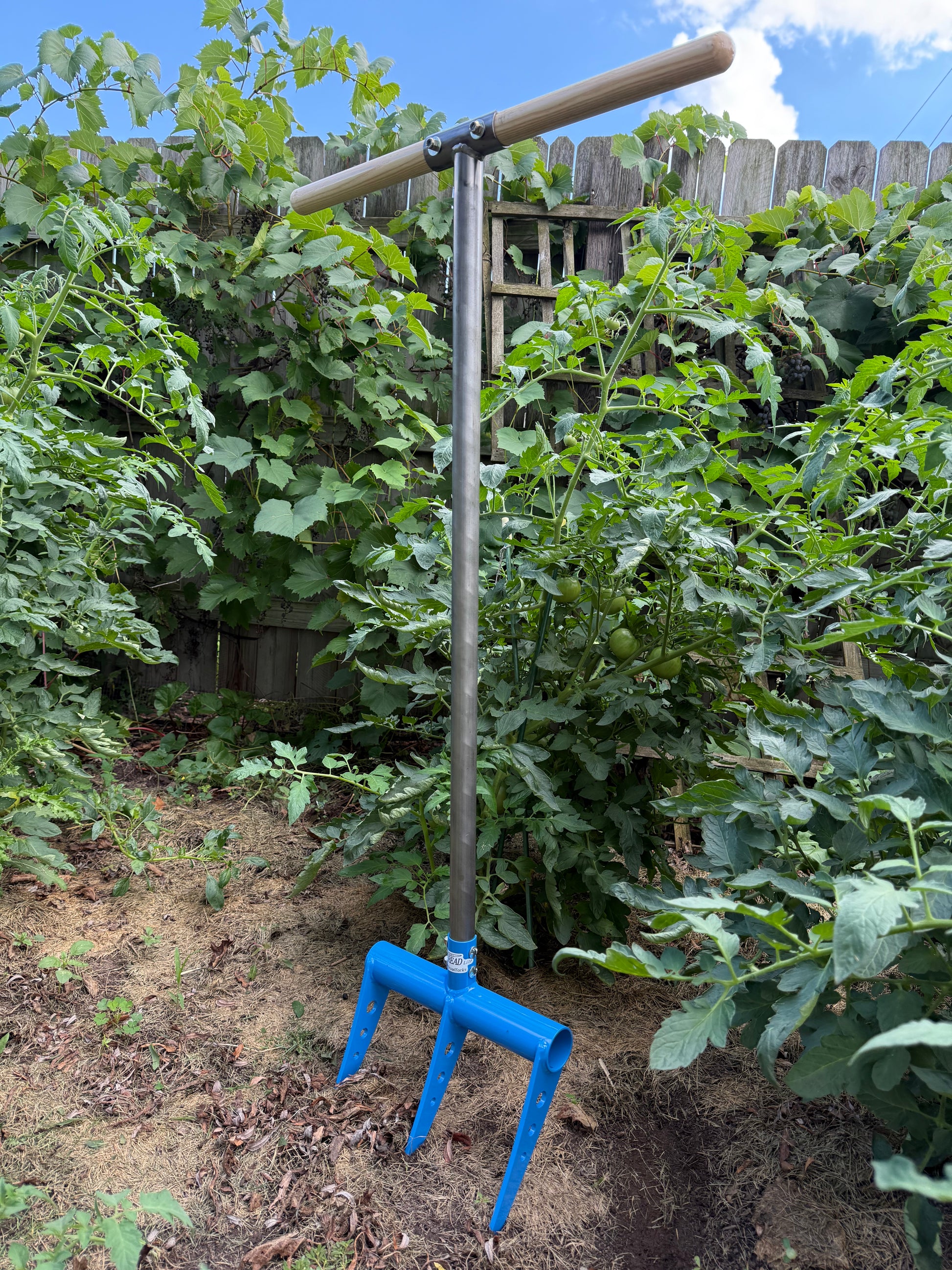 Gardening tool hand tiller in the garden