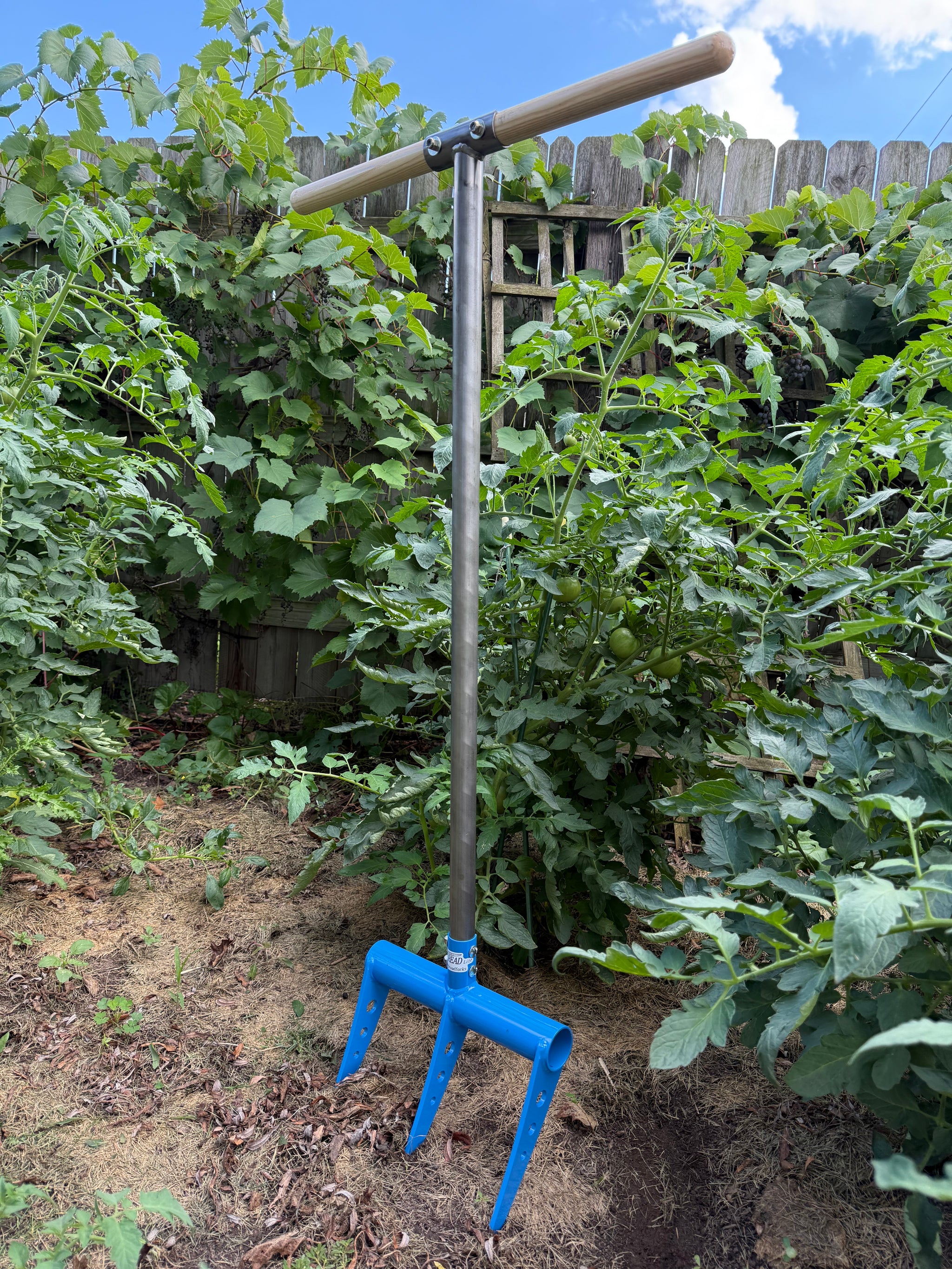 Gardening tool hand tiller in the garden