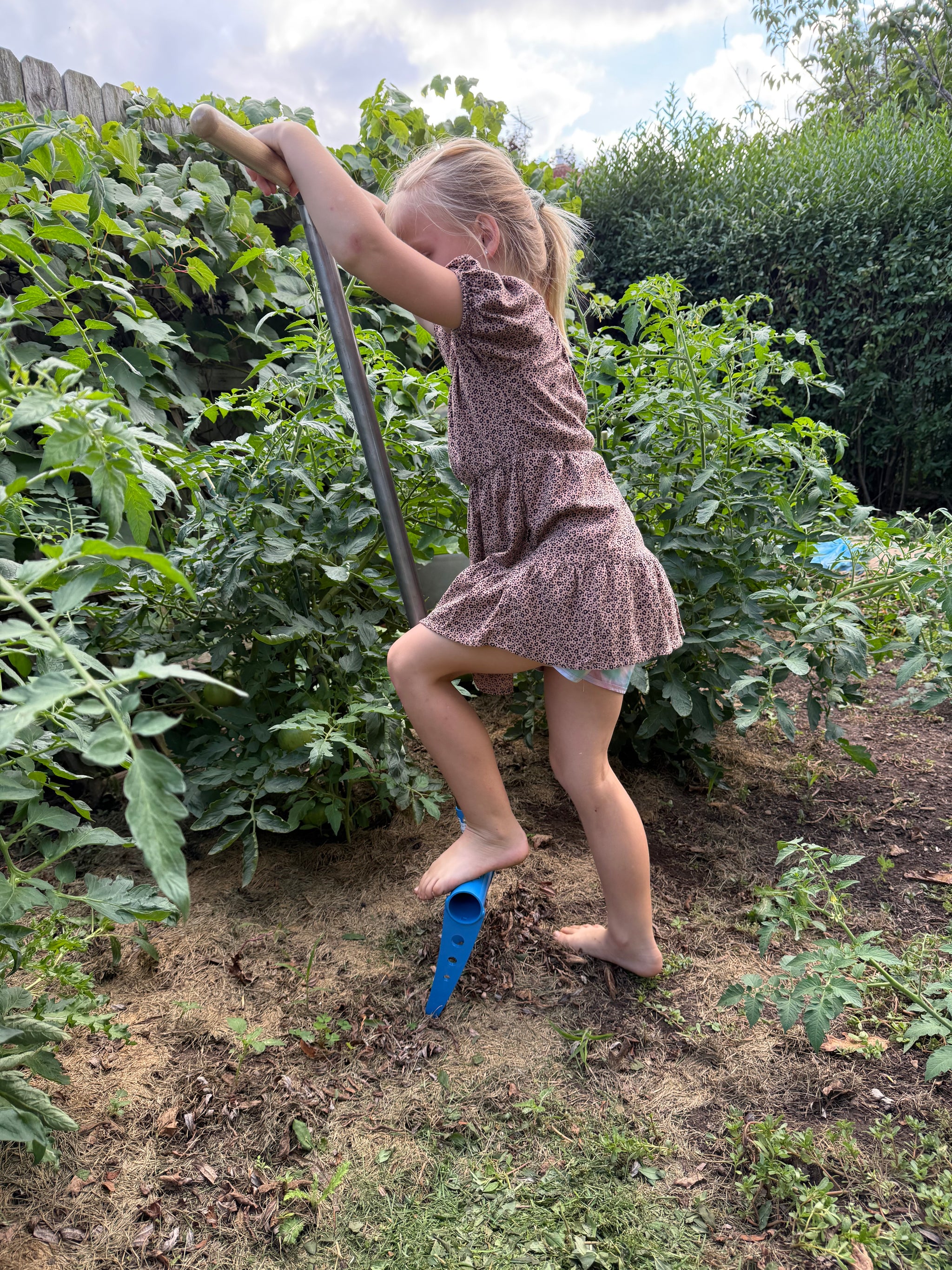 Child digging in a garden with a blue broadfork 