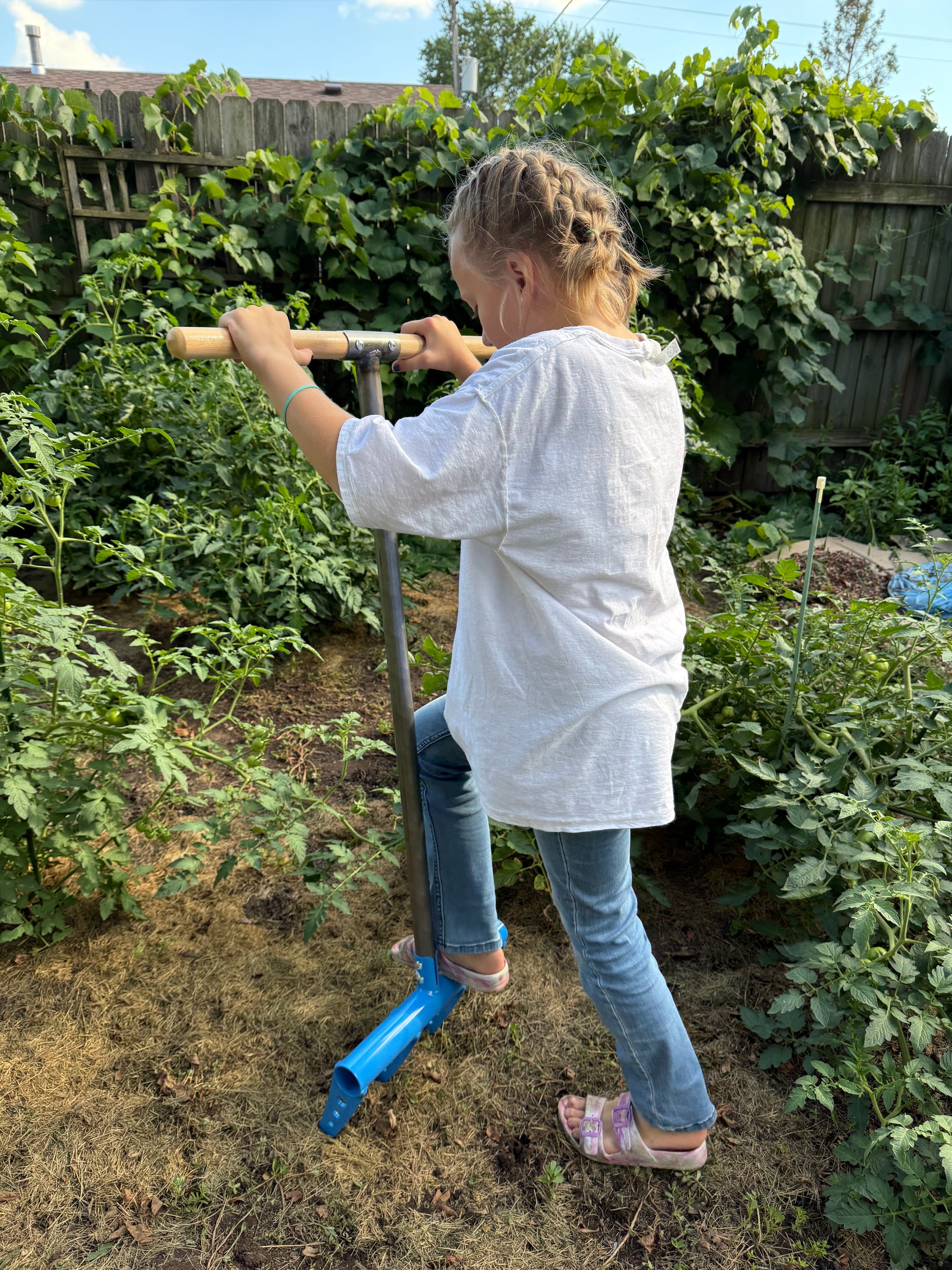 Person using a row style broadfork in the garden