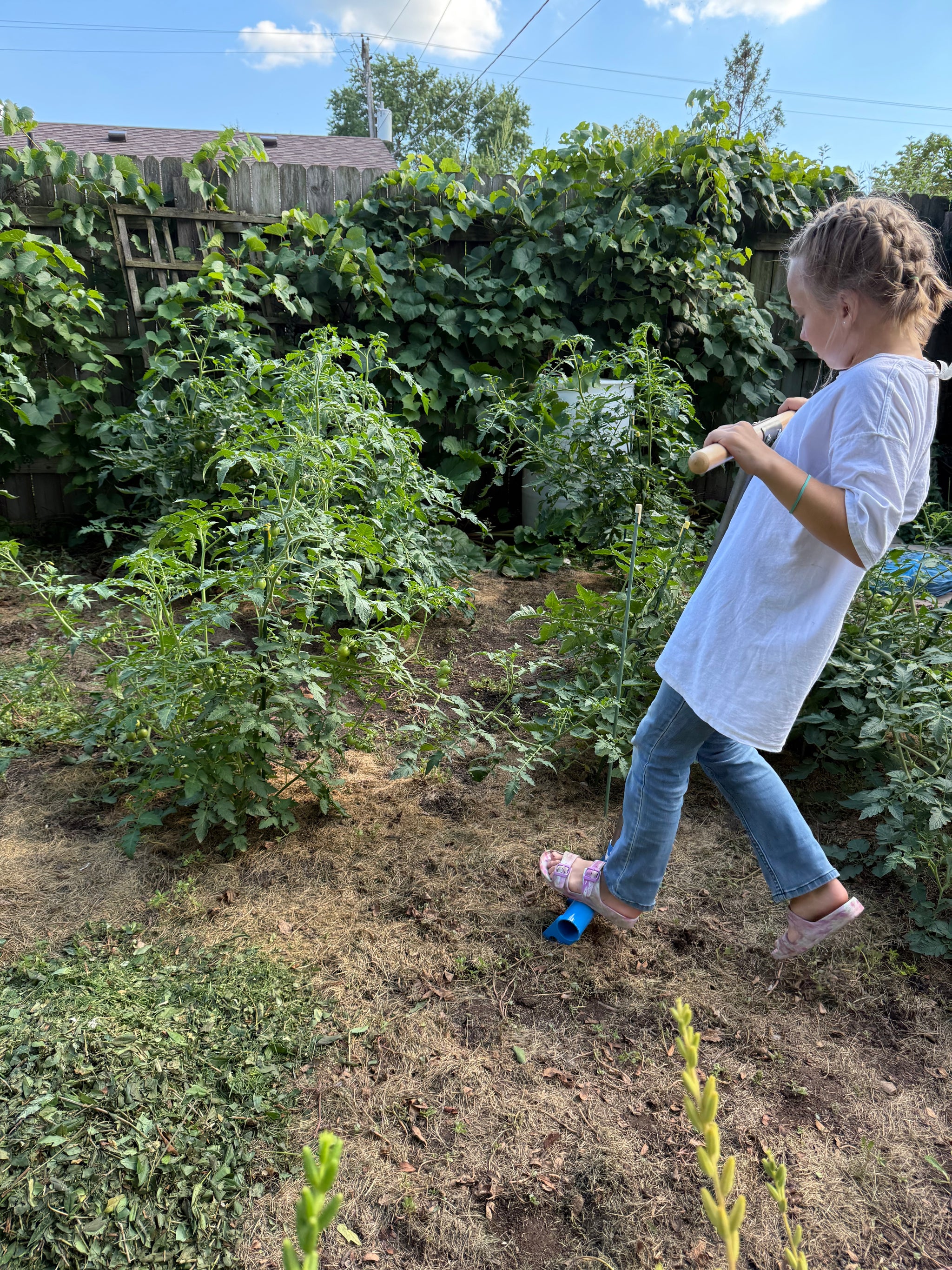 Using the RowFork broadfork to aerate garden beds midseason