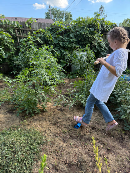 Using the RowFork broadfork to aerate garden beds midseason