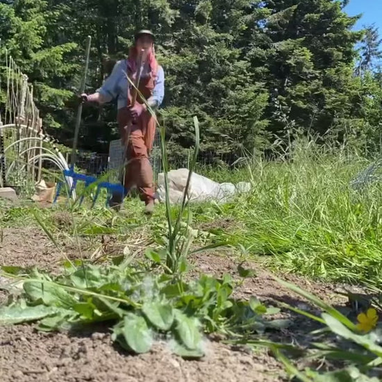 Watch the all steel Square Foot Gardener Treadlite Broadfork cultivating the soil on the farm