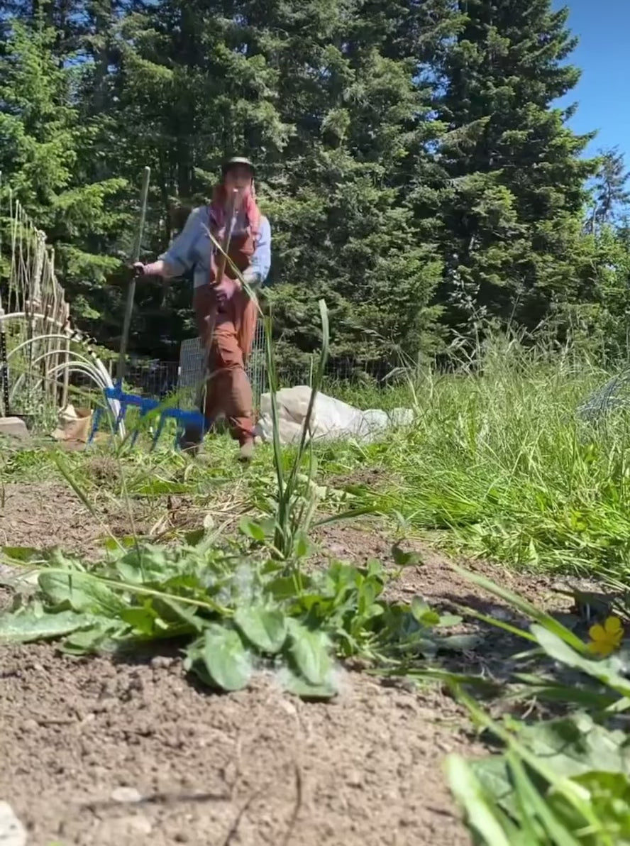 Watch the all steel Square Foot Gardener Treadlite Broadfork cultivating the soil on the farm