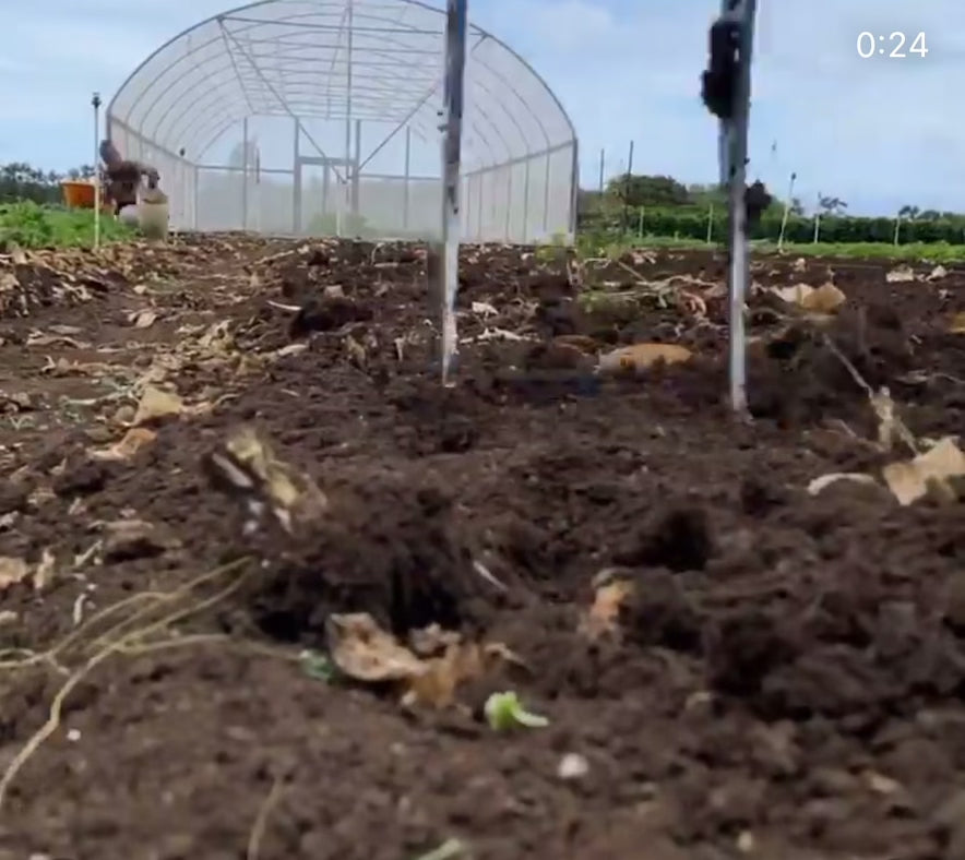 Video of The All Day Treadlite Broadfork 4 tine hand tiller on the farm