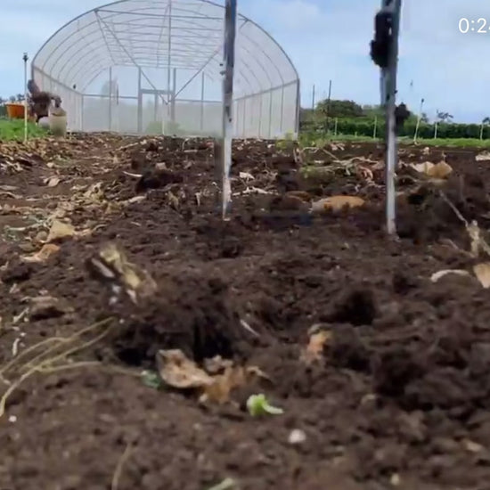 Video of The All Day Treadlite Broadfork 4 tine hand tiller on the farm